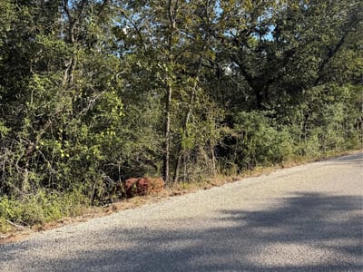 Photo 2 of 6 at Lot 189 Kaelupulu DR - Bastrop, Bastrop, TX
