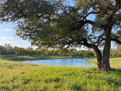 Photo 4 - Lot 19 Gracewood WAY Photo 4 of 5 at Lot 19 Gracewood WAY - Dripping Springs, Dripping Springs, TX