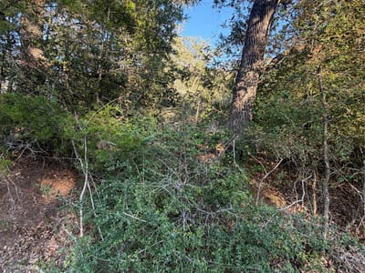 Property photo 2 at Lot 194 Kaelepulu DR - Tahitian Village,, Bastrop, TX