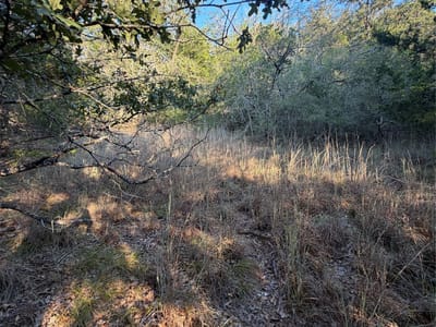 Property photo 3 at Lot 194 Kaelepulu DR - Tahitian Village,, Bastrop, TX