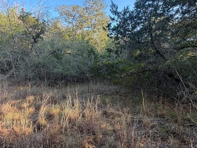 Property photo 4 at Lot 194 Kaelepulu DR - Tahitian Village,, Bastrop, TX