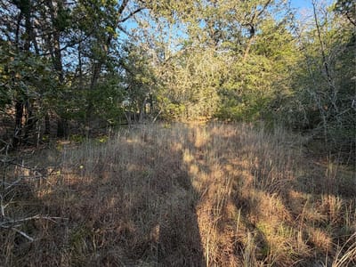 Property photo 5 at Lot 194 Kaelepulu DR - Tahitian Village,, Bastrop, TX