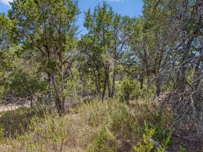 Property photo 3 at Lot 1B Evergreen WAY - Hawk Ridge Ph 1, Austin, TX