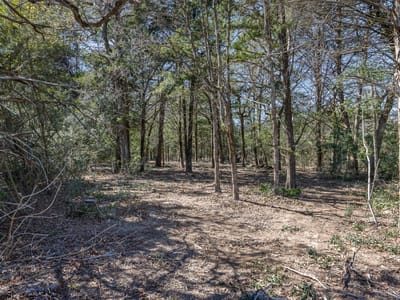 Living area at Lot 2 (4.81 Acres) Pauline Ln - Acreage Estates on Pauline Lane, Caldwell, TX
