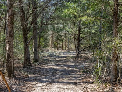 Primary bedroom at Lot 2 (4.81 Acres) Pauline Ln - Acreage Estates on Pauline Lane, Caldwell, TX