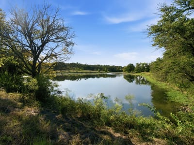 Photo 5 of 18 at TBD Lot 2 Ranchero ST - Bertram, Bertram, TX