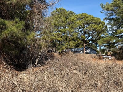Primary bedroom at Lot 20 Indian Oak DR - Lake Bastrop Acres, Bastrop, TX