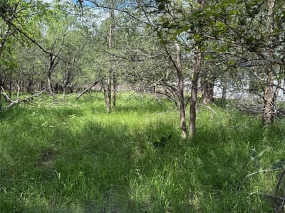 Living area at Lot 200 Nene Ln - TAHITIAN VILLAGE, Bastrop, TX