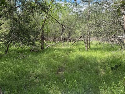 Primary bedroom at Lot 200 Nene Ln - TAHITIAN VILLAGE, Bastrop, TX