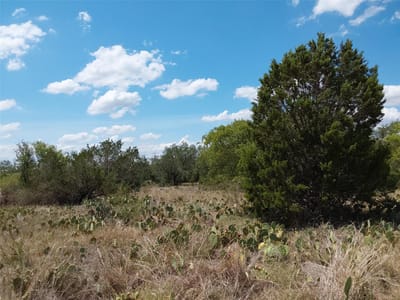 Primary bedroom at LOT 201 Sundance View PT - Spicewood Trails, Spicewood, TX