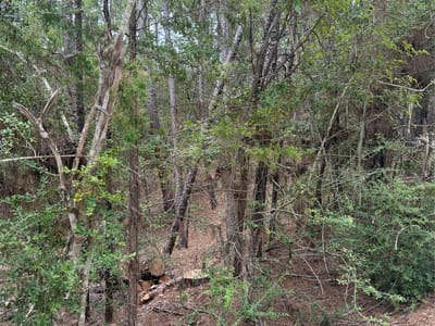 Property photo 2 at Lots 213 and 214 Hekili DR - Tahitian Village,, Bastrop, TX