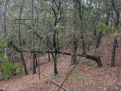 Property photo 3 at Lots 213 and 214 Hekili DR - Tahitian Village,, Bastrop, TX