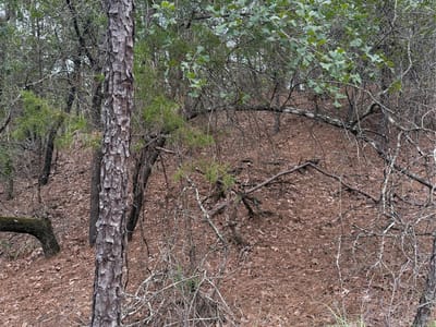 Property photo 4 at Lots 213 and 214 Hekili DR - Tahitian Village,, Bastrop, TX