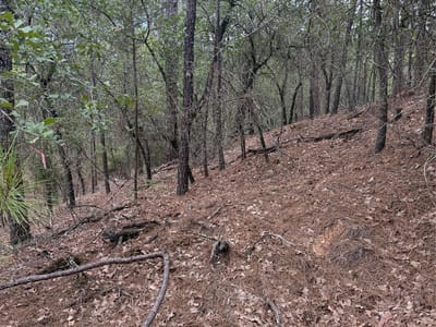 Property photo 5 at Lots 213 and 214 Hekili DR - Tahitian Village,, Bastrop, TX