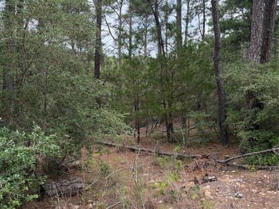 Property photo 3 at Lot 217 Hekili DR - Tahitian Village,, Bastrop, TX