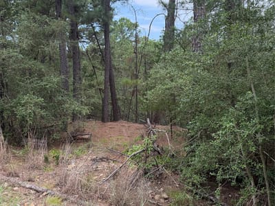 Property photo 4 at Lot 217 Hekili DR - Tahitian Village,, Bastrop, TX