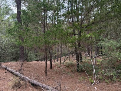 Property photo 5 at Lot 217 Hekili DR - Tahitian Village,, Bastrop, TX