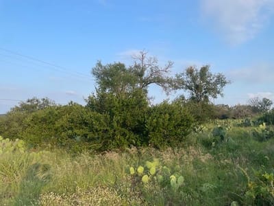 Primary bedroom at Lot 23 Cr 140 - Donall Estates, Burnet, TX