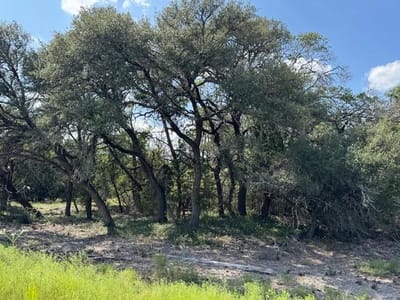Living area at Lot 23 Rifle Ridge - Ranches at Rifle Ridge, Burnet, TX