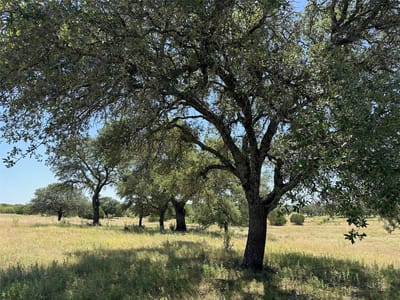 Kitchen at Lot 231 Winecup DR - Cross Timber Ranch, Lampasas, TX