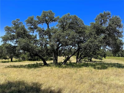 Primary bedroom at Lot 231 Winecup DR - Cross Timber Ranch, Lampasas, TX
