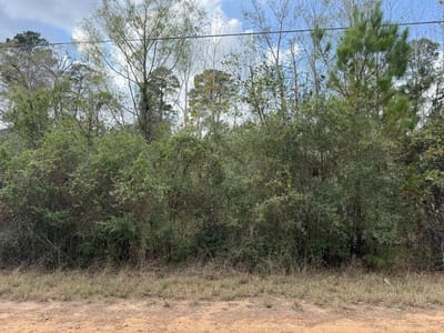 Property photo 2 at Lot 233 MAKAHA DR - Tahitian Village,, Bastrop, TX