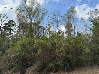 Property photo 3 at Lot 233 MAKAHA DR - Tahitian Village,, Bastrop, TX