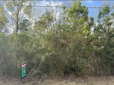 Property photo 4 at Lot 233 MAKAHA DR - Tahitian Village,, Bastrop, TX