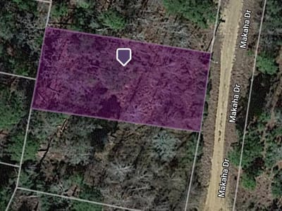 Property photo 5 at Lot 233 MAKAHA DR - Tahitian Village,, Bastrop, TX