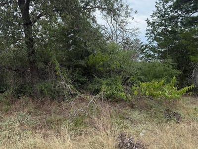 Property photo 2 at Lot 236 Kaelupulu DR - Tahitian Village,, Bastrop, TX