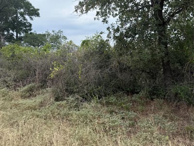 Property photo 3 at Lot 236 Kaelupulu DR - Tahitian Village,, Bastrop, TX