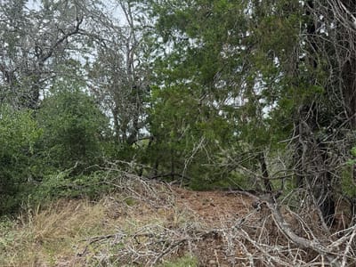 Property photo 4 at Lot 236 Kaelupulu DR - Tahitian Village,, Bastrop, TX