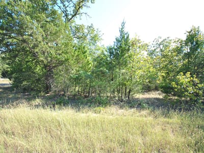 Photo 2 - Lot 24 Lcr 910 Photo 2 of 2 at Lot 24 Lcr 910 - Jewett, Jewett, TX