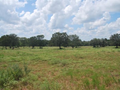 Photo 3 of 21 at TBD Lot 24 N State Highway 95 - Flatonia, Flatonia, TX