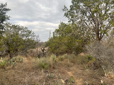 Primary bedroom at Lot 262 W Briarway Dr - Greenbriar, Granite Shoals, TX