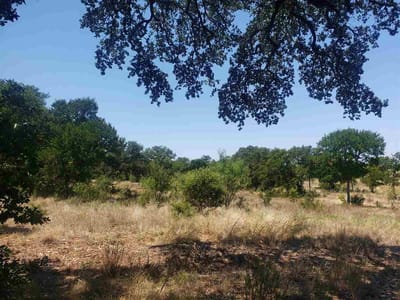 Kitchen - Lot 27 Sierra Bluff Blf Kitchen at Lot 27 Sierra Bluff Blf - The Cliffs at Water Ridge, Buchanan Dam, TX
