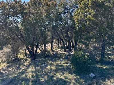 Primary bedroom at Lot 27082 Mustang Dr - Horseshoe Bay Proper, Horseshoe Bay, TX