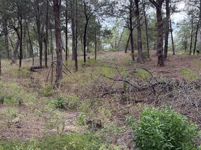 Property photo 2 at Lot 289 Aka CT - Tahitian Village,, Bastrop, TX