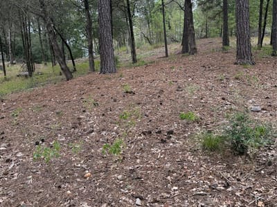 Property photo 2 at Lot 290 Aka CT - Tahitian Village,, Bastrop, TX
