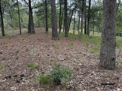 Property photo 3 at Lot 290 Aka CT - Tahitian Village,, Bastrop, TX