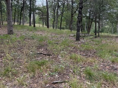 Property photo 2 at Lot  291 Aka CT - Tahitian Village,, Bastrop, TX