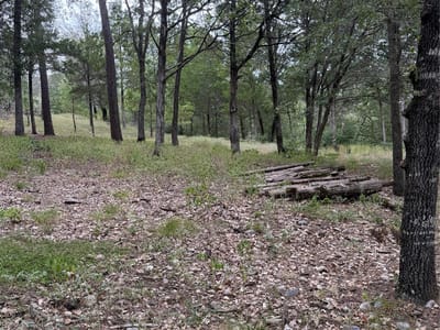 Property photo 3 at Lot  291 Aka CT - Tahitian Village,, Bastrop, TX