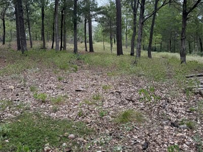 Property photo 4 at Lot  291 Aka CT - Tahitian Village,, Bastrop, TX