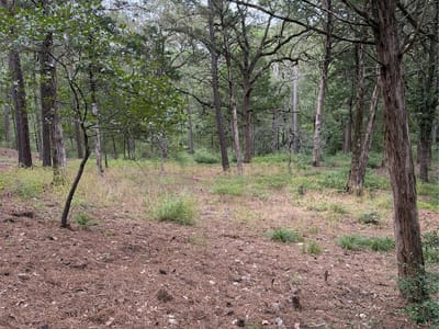 Property photo 3 at Lot 292 Aka CT - Tahitian Village,, Bastrop, TX