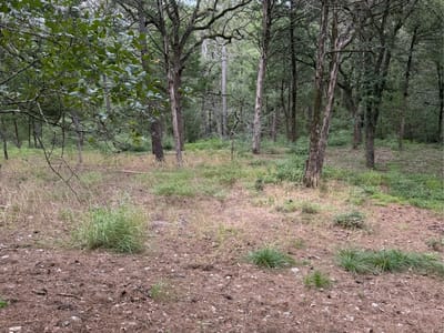 Property photo 4 at Lot 292 Aka CT - Tahitian Village,, Bastrop, TX