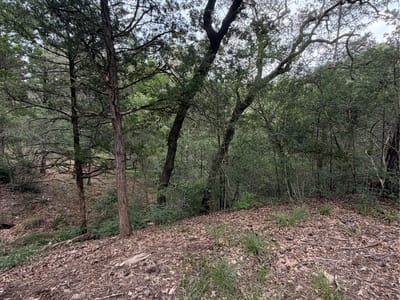 Property photo 2 at Lot 293 Aka CT - Tahitian Village,, Bastrop, TX