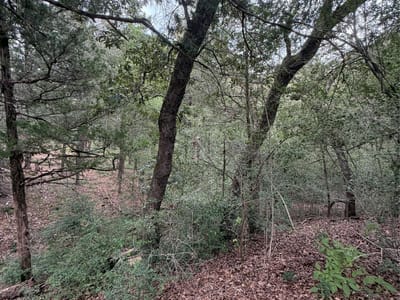 Property photo 3 at Lot 293 Aka CT - Tahitian Village,, Bastrop, TX