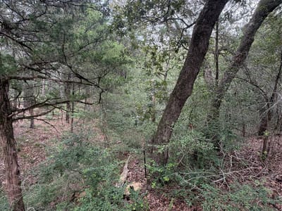 Property photo 4 at Lot 293 Aka CT - Tahitian Village,, Bastrop, TX