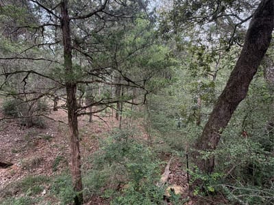Property photo 5 at Lot 293 Aka CT - Tahitian Village,, Bastrop, TX