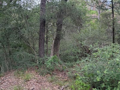 Property photo 2 at Lot 294 Aka CT - Tahitian Village,, Bastrop, TX